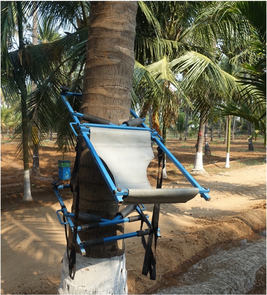 Coconut Climber - தென்னை மரம் ஏறும் கருவி